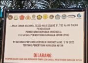 Satgas PKH Tegaskan Segala Bentuk Aktivitas Didalam Hutan Kawasan Dinyatakan Melanggar Hukum