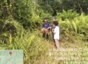 Babinsa Koramil 01/Siak Bersama Tim URC Laksanakan Vaksinasi Hewan Ternak di Kampung Srigading