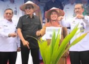 Dukung Ketahanan Pangan Nasional : Penanaman Pohon Kelapa Serentak Se-Indonesia