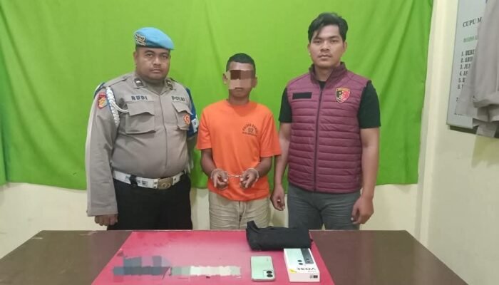 Karyawan Cuci Motor Ditangkap Polsek Rambah Hilir. Curi N. MAX milik majikan yang.