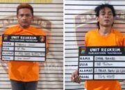 Pencuri Mobil Box Berhasil Diciduk,   Ngaku Dapat Bagian Rp2Juta dan 5 Juta