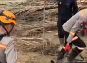 Brimob Polda Sumut dan K-9 SAR Lanjutkan Operasi Pencarian Korban Banjir Bandang di Batang Toru