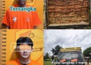 Diduga Angkut kayu olahan ilegal logging satu Unit truk colt diesel di Amankan Tim Direktorat Reserse Kriminal Khusus Polda Riau.