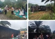 Truk Tronton Laka Tunggal di Kandis, Satlantas Polres Siak Tangani, Kerugian Capai Rp430 Juta