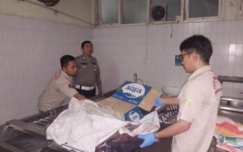 Pelajar 16 Tahun Tewas Usai Tertabrak Vixion Hingga Terpental Dan Disambut Tronton di Jalan Jamin Ginting