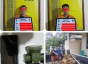 2 Orang Pencuri 50 Tandan Sawit Ditangkap, Polsek Tualang, 3 DPO.