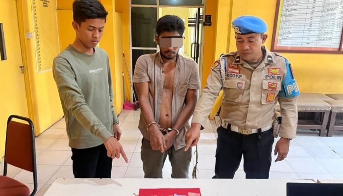 Polsek Tapung Hilir Tangkap Pelaku Narkoba di Perkebunan Sawit PT Sekar Bumi Alam Lestari