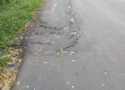 LSM KCBI Ungkap Kekecewaan Warga atas Jalan Sunggal yang Rusak Pasca Perbaikan