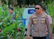 Kapolres Siak AKBP Sepuh Ade Irsyam Siregar Instruksikan Polsek,Jajaran Maksimalkan Pemanfaatan Lahan Kosong ketahanan pangan.