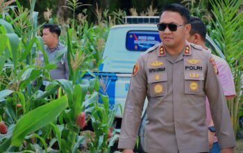 Kapolres Siak AKBP Sepuh Ade Irsyam Siregar Instruksikan Polsek,Jajaran Maksimalkan Pemanfaatan Lahan Kosong ketahanan pangan.