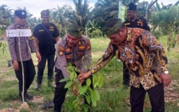 Polsek Kandis Tanam 100 Pohon di Telaga Sam Sam, Penguatan Green Policing untuk menjaga Lingkungan.