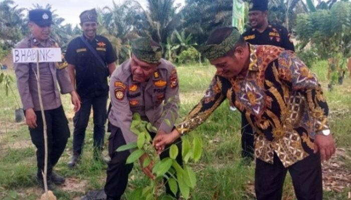 Polsek Kandis Tanam 100 Pohon di Telaga Sam Sam, Penguatan Green Policing untuk menjaga Lingkungan.