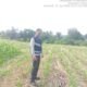 Dukung Ketahanan Pangan, Bhabinkamtibmas Polsek Dolok Batu Nanggar Pantau Langsung Lahan Tanam Jagung Warga