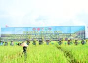 Dandim 0322/Siak Hadiri Panen Raya, TNI Dukung Program Ketahanan Pangan Nasional di Bengkalis.