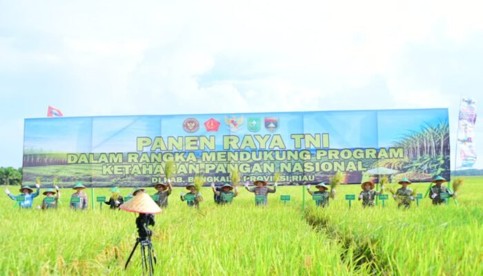 Dandim 0322/Siak Hadiri Panen Raya, TNI Dukung Program Ketahanan Pangan Nasional di Bengkalis.