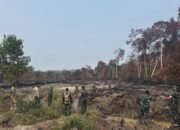 Tim Penyuluhan Mabes TNI Tinjau Lokasi Pasca-Karhutla di Inhu, Dorong Pencegahan Kebakaran Berulang.